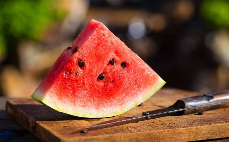 На прилавках магазинов появились арбузы и дыни, что свидетельствует о начале арбузно-дынного сезона. В связи с этим важно обратить внимание на питание и здоровье. Врач-диетолог и эксперт по здоровому питанию Татьяна Мещерякова из сервиса Level Kitchen дала интервью журналистам «Известий» 12 июля, где ответила на самые популярные вопросы о пользе и особенностях потребления арбузов и дынь.