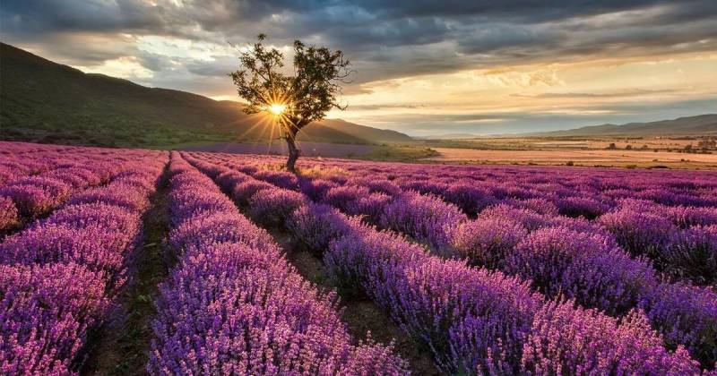 В пятницу, 26 июля 2024 года, православная церковь празднует День собора Архангела Гавриила. Согласно верованиям, этот день связан с постройкой храма в Константинополе в честь этого архангела.